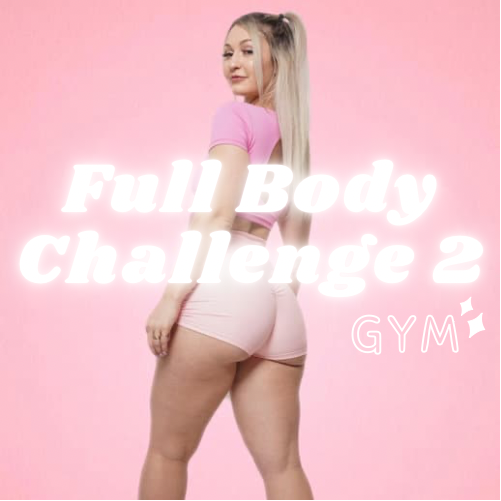 Full Body Challenge 2 Gym
